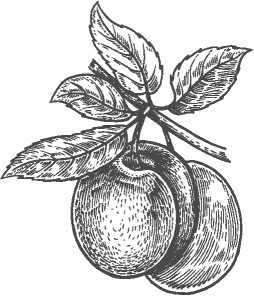 Иллюстрация к книге — Рецепты для здоровья и долголетия от Ольги Мясниковой [i_053.jpg]