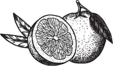 Иллюстрация к книге — Рецепты для здоровья и долголетия от Ольги Мясниковой [i_107.jpg]