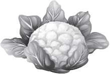 Иллюстрация к книге — Рецепты для здоровья и долголетия от Ольги Мясниковой [i_140.jpg]