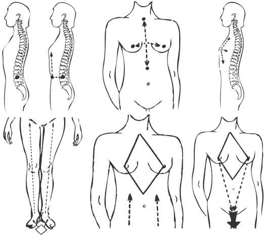 Иллюстрация к книге — Гимнастика славянских чаровниц. Практики, дающие силу, красоту и здоровье [i_073.jpg]