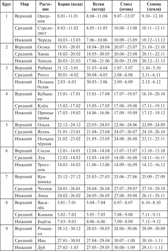 Иллюстрация к книге — Гимнастика славянских чаровниц. Практики, дающие силу, красоту и здоровье [i_089.jpg]