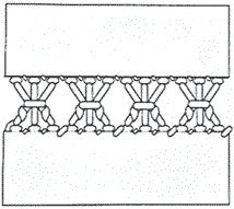 Иллюстрация к книге — Сила рода. Славянские традиции и ритуалы сохранения семьи и почитания предков [i_007.jpg]