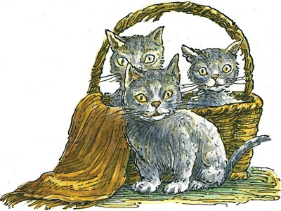 Иллюстрация к книге — О дохлой кошке и живых котятах [i_002.jpg]