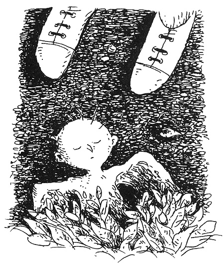 Иллюстрация к книге — Пип! [i_006.jpg]