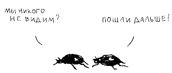 Иллюстрация к книге — Пип! [i_008.jpg]