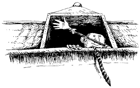 Иллюстрация к книге — Пип! [i_072.jpg]