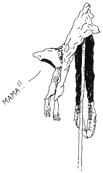 Иллюстрация к книге — Пип! [i_077.jpg]