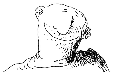 Иллюстрация к книге — Пип! [i_103.jpg]