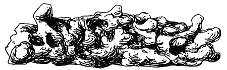 Иллюстрация к книге — Пип! [i_113.jpg]