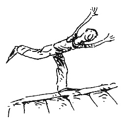 Иллюстрация к книге — Пип! [i_117.jpg]