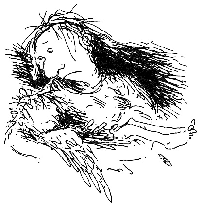 Иллюстрация к книге — Пип! [i_124.jpg]