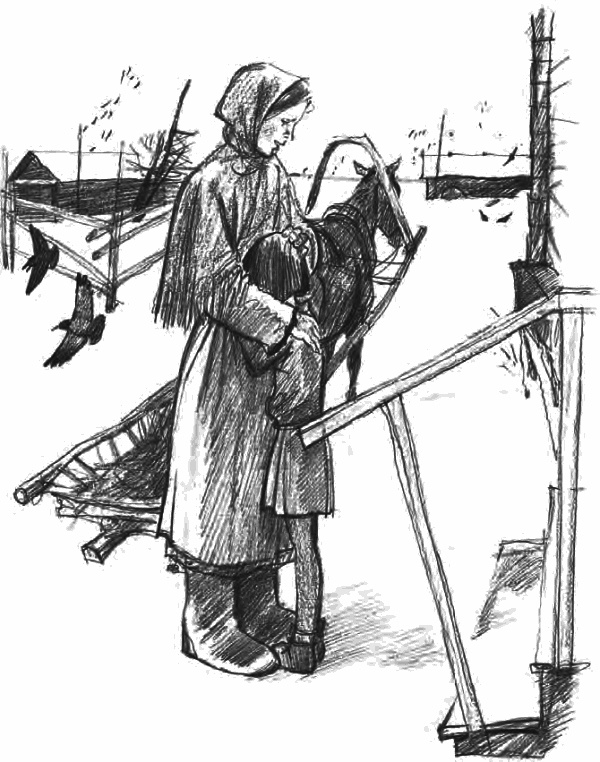 Иллюстрация к книге — Девочка из города [i_013.jpg]