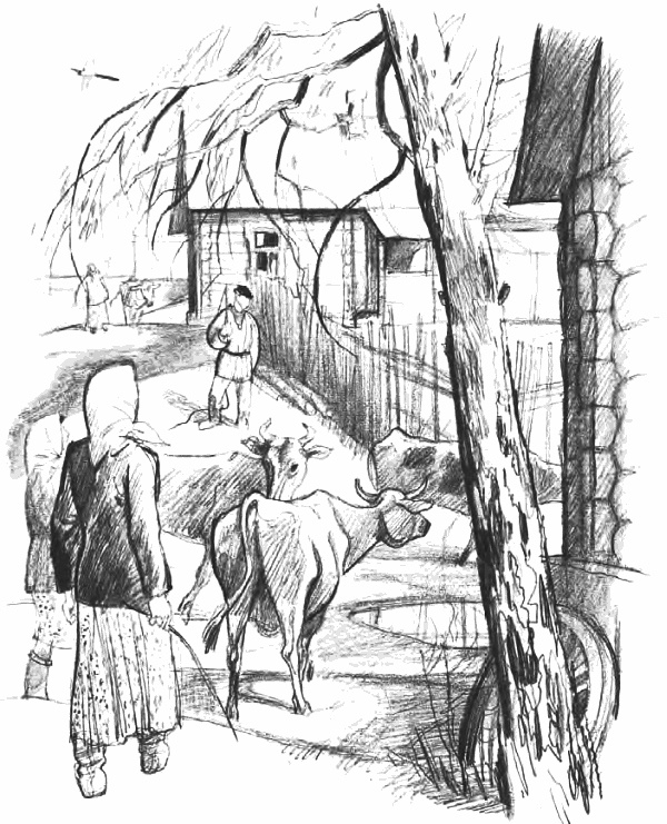 Иллюстрация к книге — Девочка из города [i_020.jpg]