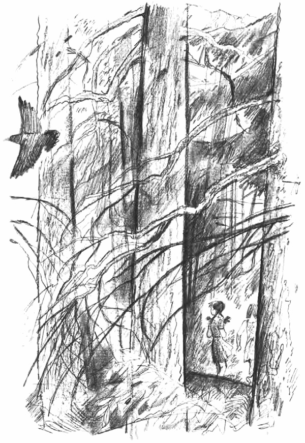 Иллюстрация к книге — Девочка из города [i_024.jpg]