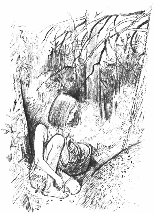 Иллюстрация к книге — Девочка из города [i_025.jpg]