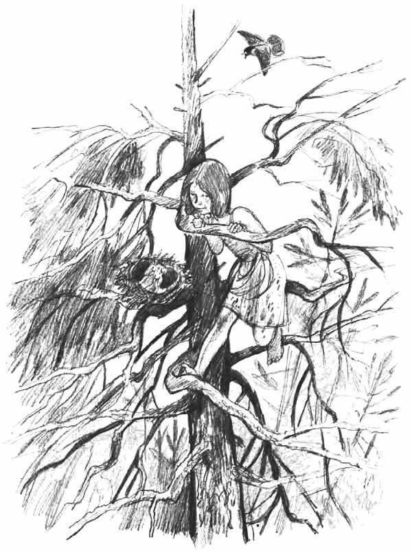 Иллюстрация к книге — Девочка из города [i_032.jpg]