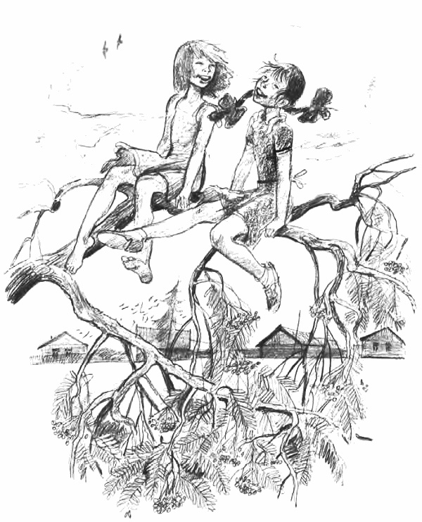 Иллюстрация к книге — Девочка из города [i_033.jpg]