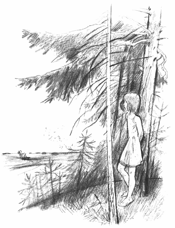 Иллюстрация к книге — Девочка из города [i_034.jpg]