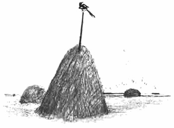 Иллюстрация к книге — Девочка из города [i_035.jpg]