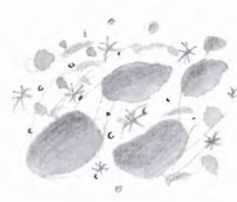 Иллюстрация к книге — Ветер делают деревья или Руководство по воспитанию дошкольников для бывших детей и будущих родителей [_143.jpg]