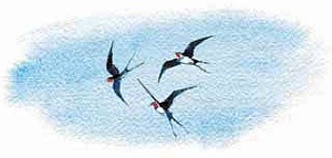 Иллюстрация к книге — Сибирский валенок [i_003.jpg]