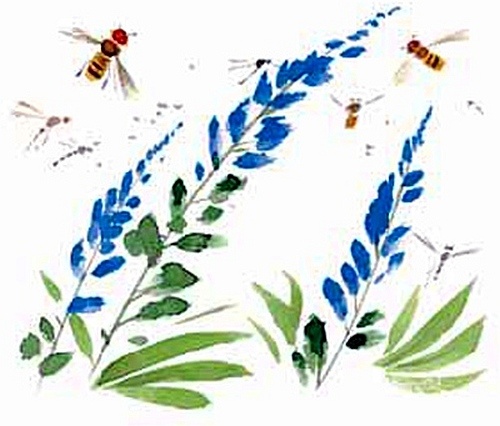 Иллюстрация к книге — Сибирский валенок [i_035.jpg]