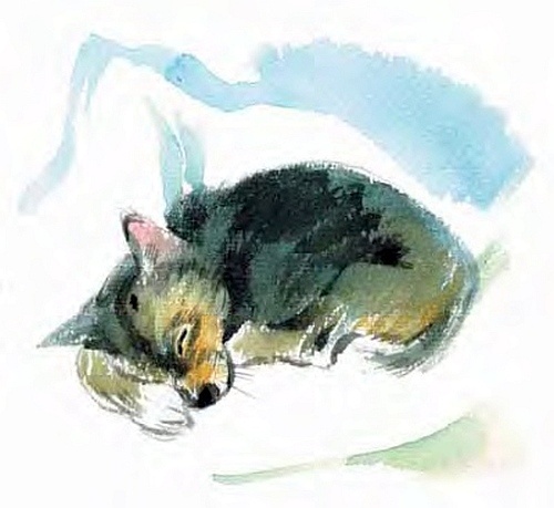 Иллюстрация к книге — Сибирский валенок [i_045.jpg]