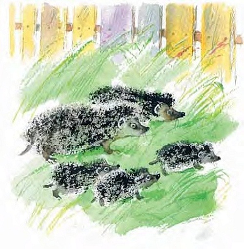 Иллюстрация к книге — Сибирский валенок [i_049.jpg]