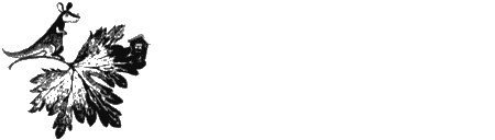 Иллюстрация к книге — Собаки не ошибаются [img18.jpg]