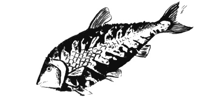 Иллюстрация к книге — Собаки не ошибаются [img30.jpg]