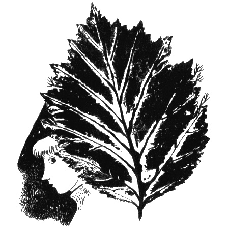 Иллюстрация к книге — Собаки не ошибаются [img32.jpg]