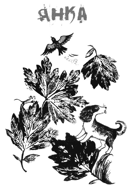 Иллюстрация к книге — Собаки не ошибаются [img33.jpg]