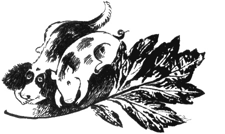 Иллюстрация к книге — Собаки не ошибаются [img34.jpg]