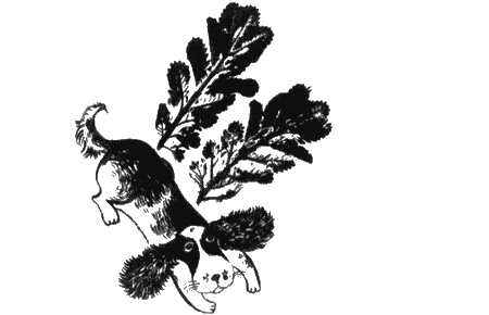 Иллюстрация к книге — Собаки не ошибаются [img35.jpg]