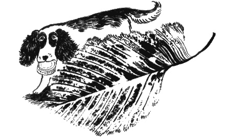 Иллюстрация к книге — Собаки не ошибаются [img36.jpg]