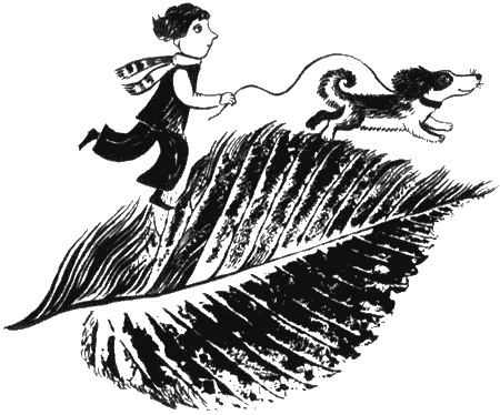 Иллюстрация к книге — Собаки не ошибаются [img42.jpg]