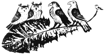 Иллюстрация к книге — Собаки не ошибаются [img54.jpg]