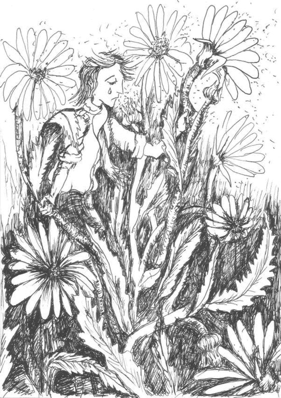 Иллюстрация к книге — Приключения Никтошки [i_007.jpg]