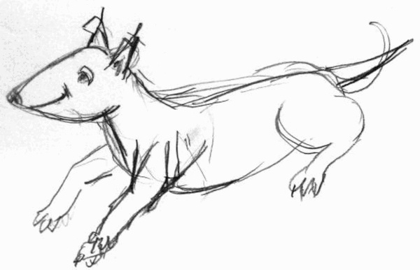 Иллюстрация к книге — Приключения Никтошки [i_021.jpg]