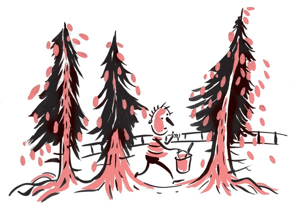 Иллюстрация к книге — Записки выдающегося двоечника [i_021.jpg]