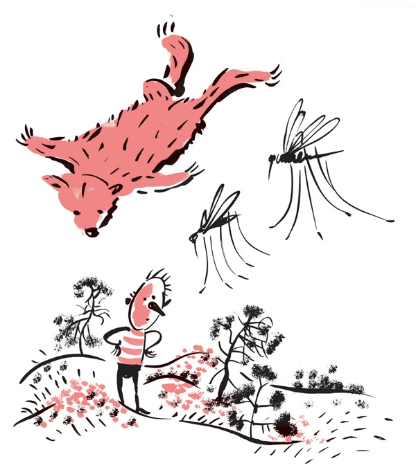 Иллюстрация к книге — Записки выдающегося двоечника [i_031.jpg]