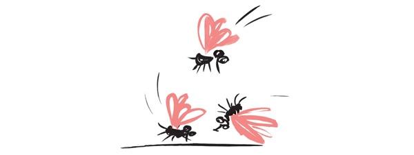 Иллюстрация к книге — Записки выдающегося двоечника [i_042.jpg]