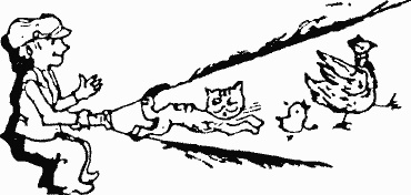 Иллюстрация к книге — Тетрадки под дождём [i_008.jpg]