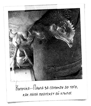 Иллюстрация к книге — Привет, это я! Первый поцелуй [i_386.jpg]