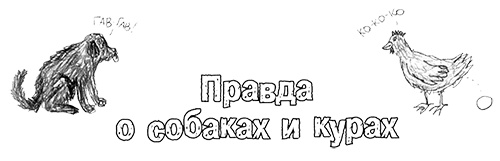 Иллюстрация к книге — Привет, это я! Первый поцелуй [i_414.jpg]