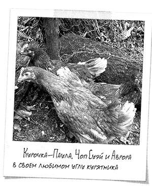 Иллюстрация к книге — Привет, это я! Первый поцелуй [i_415.jpg]