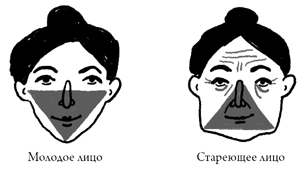 Иллюстрация к книге — Что скрывает кожа. 2 квадратных метра, которые диктуют, как нам жить [i_016.jpg]
