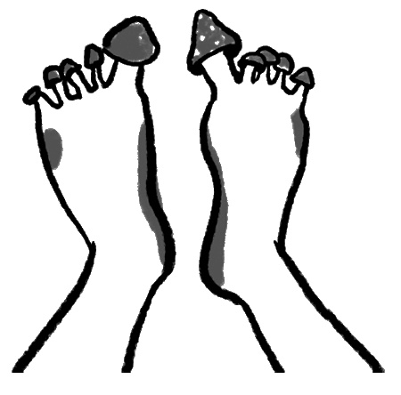 Иллюстрация к книге — Что скрывает кожа. 2 квадратных метра, которые диктуют, как нам жить [i_019.jpg]