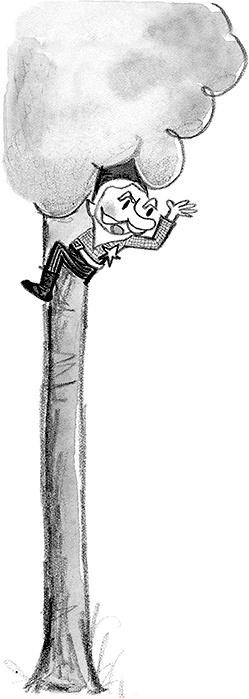 Иллюстрация к книге — Дори-фантазерка. Знакомьтесь, Дори! [i_067.jpg]