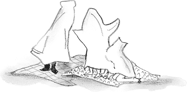 Иллюстрация к книге — Дори-фантазерка. Знакомьтесь, Дори! [i_117.jpg]